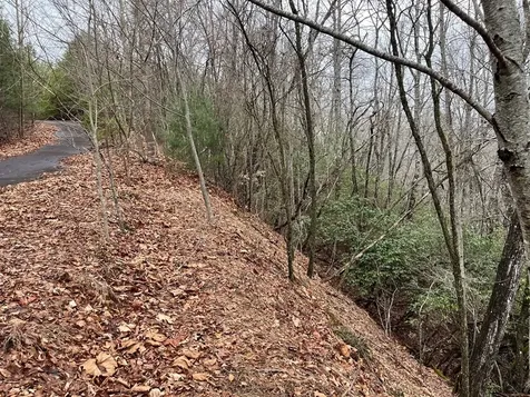 19 Lots Crockett Hayesville NC 28904