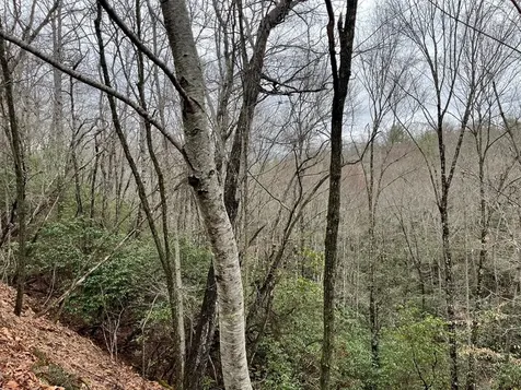 19 Lots Crockett Hayesville NC 28904