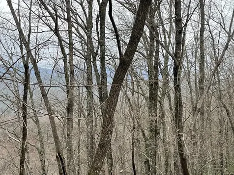 19 Lots Crockett Hayesville NC 28904