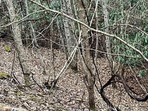 19 Lots Crockett Hayesville NC 28904