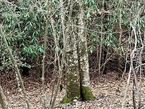19 Lots Crockett Hayesville NC 28904