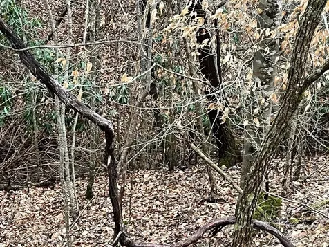 19 Lots Crockett Hayesville NC 28904