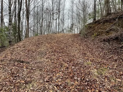 19 Lots Crockett Hayesville NC 28904