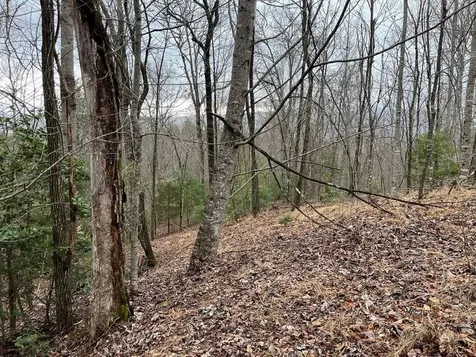 19 Lots Crockett Hayesville NC 28904