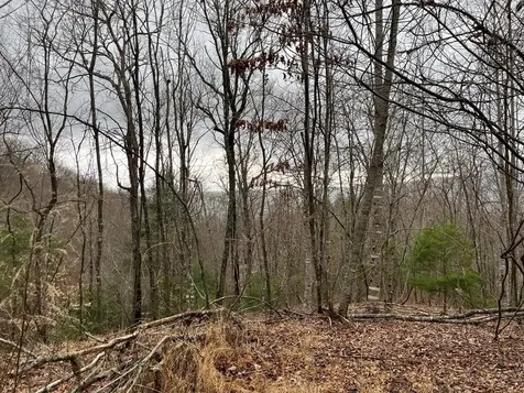 19 Lots Crockett Hayesville NC 28904