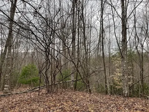 19 Lots Crockett Hayesville NC 28904