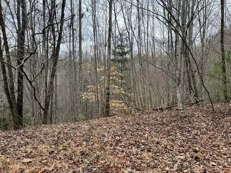 19 Lots Crockett Hayesville NC 28904