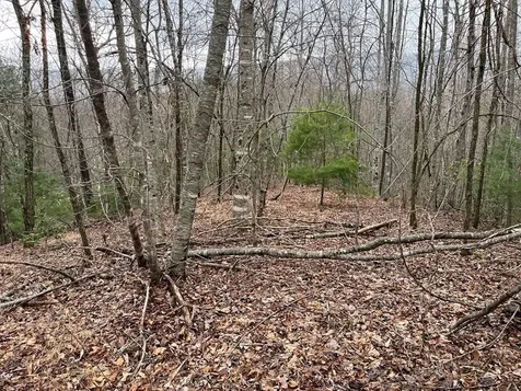 19 Lots Crockett Hayesville NC 28904