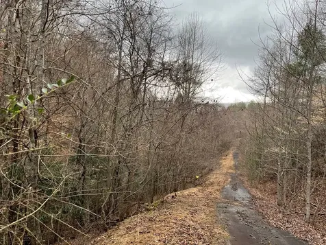 19 Lots Crockett Hayesville NC 28904