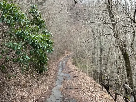 19 Lots Crockett Hayesville NC 28904