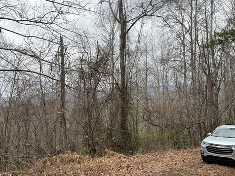 19 Lots Crockett Hayesville NC 28904