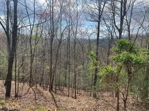 Lot 62 Jitterbug Lane Murphy NC 28906