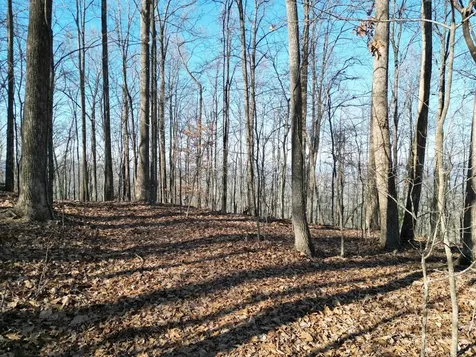 20.05 Ac Treehouse Trail Murphy NC 28906