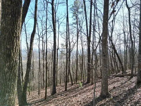 20.05 Ac Treehouse Trail Murphy NC 28906