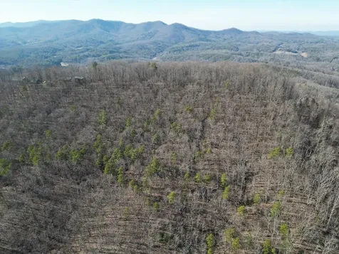 20.05 Ac Treehouse Trail Murphy NC 28906