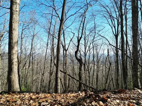20.05 Ac Treehouse Trail Murphy NC 28906