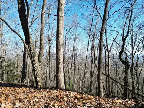 20.05 Ac Treehouse Trail Murphy NC 28906