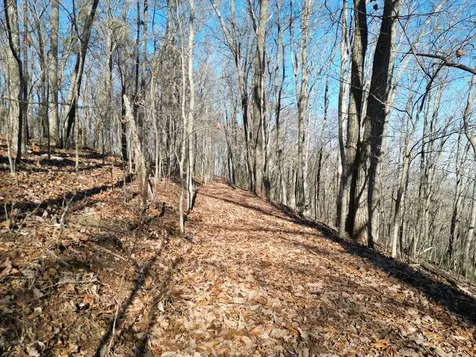 20.05 Ac Treehouse Trail Murphy NC 28906