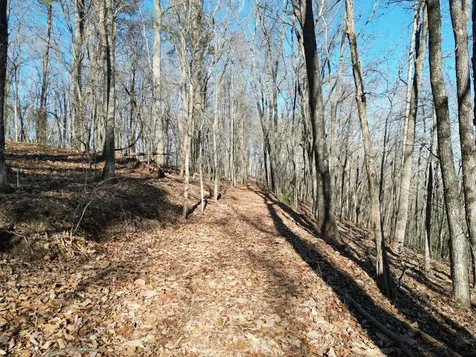 20.05 Ac Treehouse Trail Murphy NC 28906