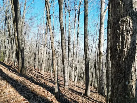 20.05 Ac Treehouse Trail Murphy NC 28906
