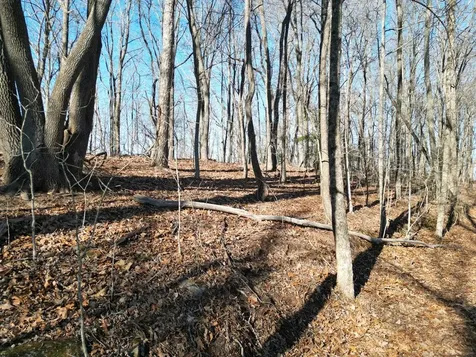 20.05 Ac Treehouse Trail Murphy NC 28906