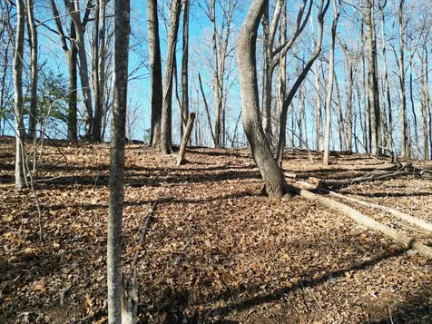 20.05 Ac Treehouse Trail Murphy NC 28906