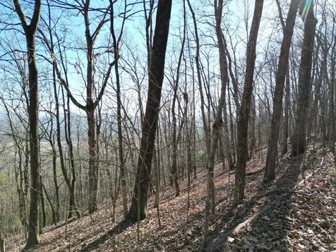 20.05 Ac Treehouse Trail Murphy NC 28906