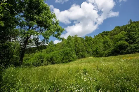 00 Peterson Road Robbinsville NC 28771