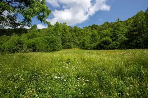 00 Peterson Road Robbinsville NC 28771
