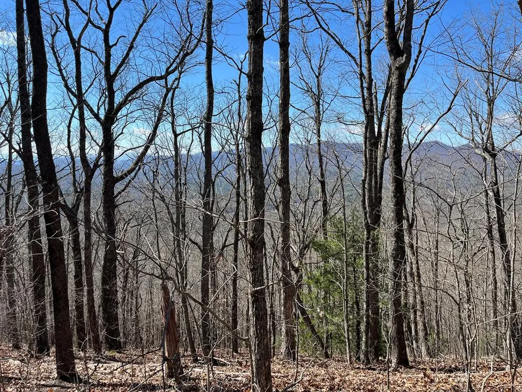 Tbd Treehouse Trail Murphy NC 28906