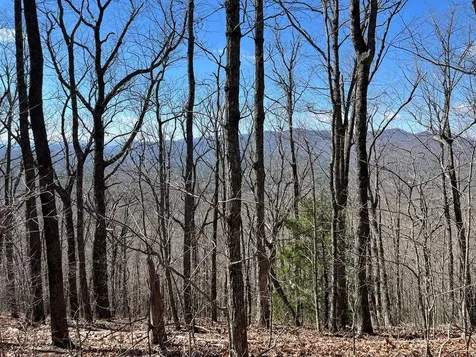 Tbd Treehouse Trail Murphy NC 28906