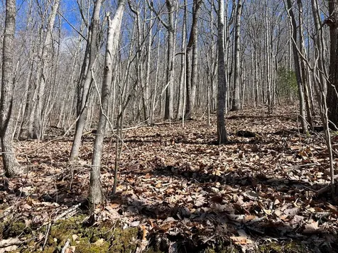 Tbd Treehouse Trail Murphy NC 28906