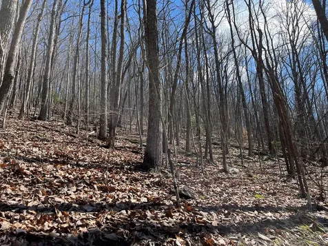 Tbd Treehouse Trail Murphy NC 28906