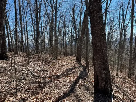 Tbd Treehouse Trail Murphy NC 28906