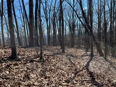Tbd Treehouse Trail Murphy NC 28906