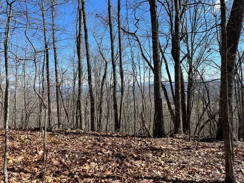 Tbd Treehouse Trail Murphy NC 28906