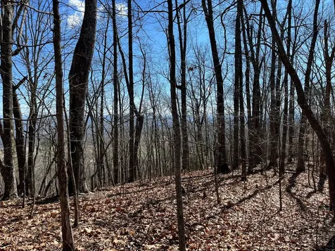 Tbd Treehouse Trail Murphy NC 28906