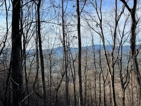 Lot 73 Hidden Treasure Murphy NC 28906