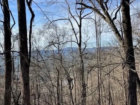 Lot 73 Hidden Treasure Murphy NC 28906