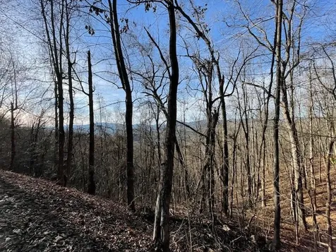 Lot 73 Hidden Treasure Murphy NC 28906