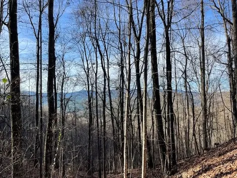 Lot 73 Hidden Treasure Murphy NC 28906