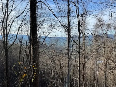 Lot 73 Hidden Treasure Murphy NC 28906