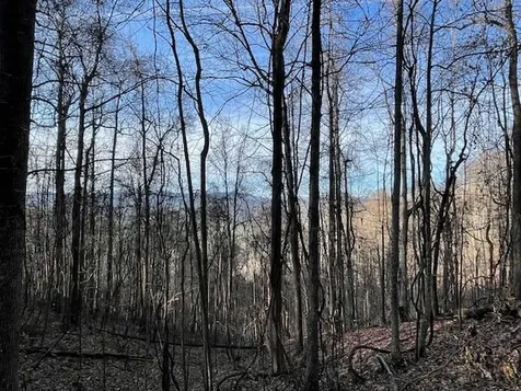 Lot 73 Hidden Treasure Murphy NC 28906