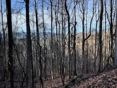 Lot 73 Hidden Treasure Murphy NC 28906