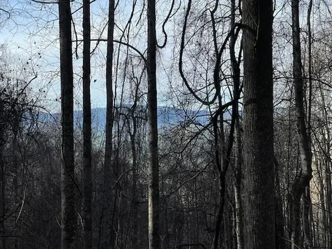 Lot 73 Hidden Treasure Murphy NC 28906