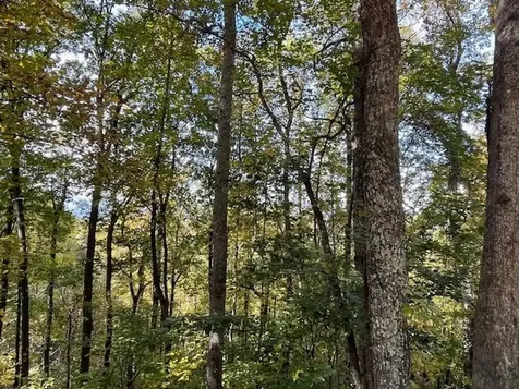 Lot 73 Hidden Treasure Murphy NC 28906