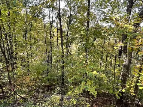 Lot 73 Hidden Treasure Murphy NC 28906