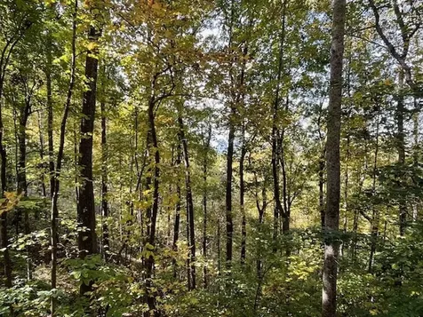 Lot 73 Hidden Treasure Murphy NC 28906