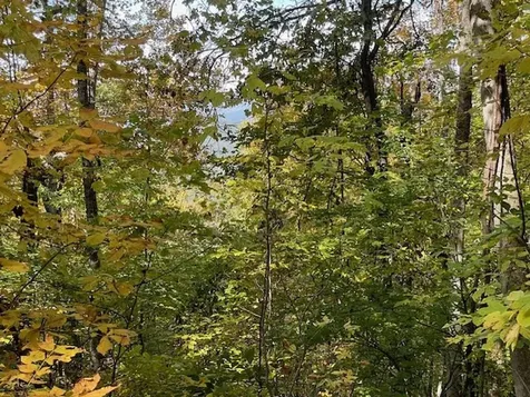 Lot 73 Hidden Treasure Murphy NC 28906