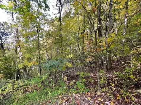 Lot 73 Hidden Treasure Murphy NC 28906